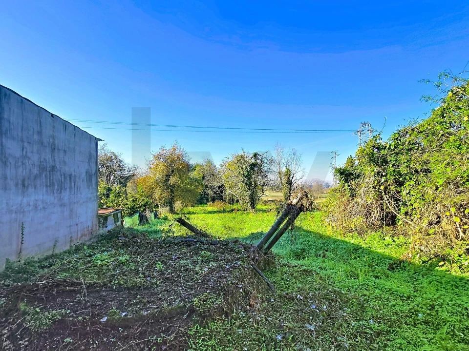 Moradia T4 para Venda em São João de Loure e Frossos Foto 19