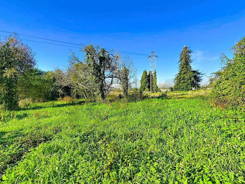 Moradia T4 para Venda em São João de Loure e Frossos Foto 24