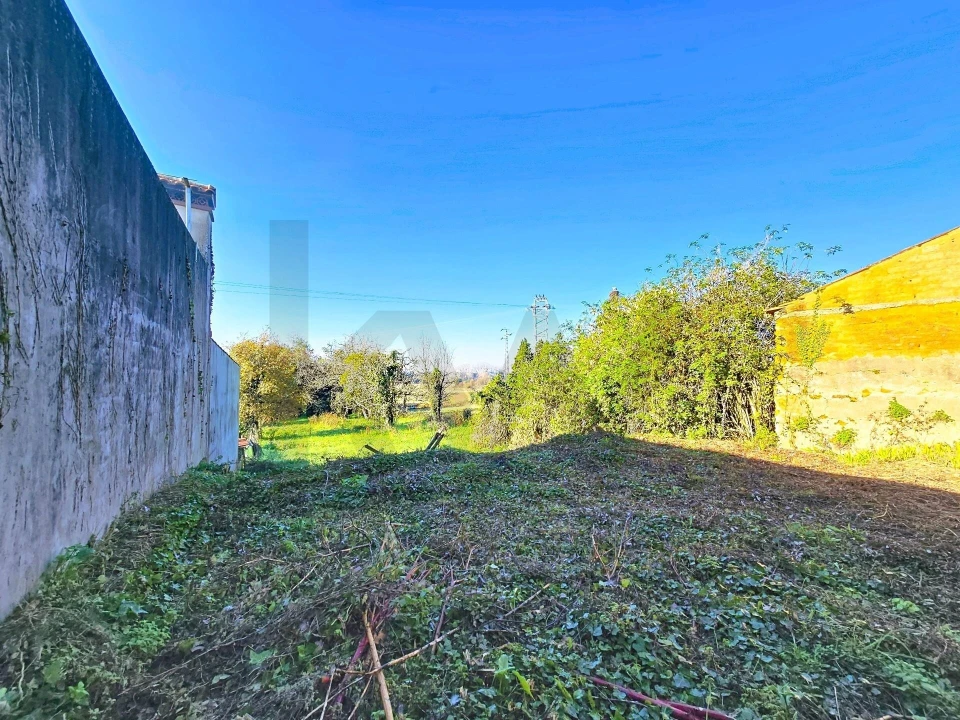 Moradia T4 para Venda em São João de Loure e Frossos Foto 17