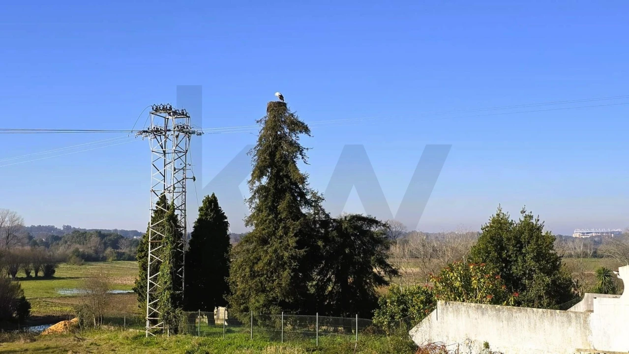 Moradia T4 para Venda em São João de Loure e Frossos Foto 21