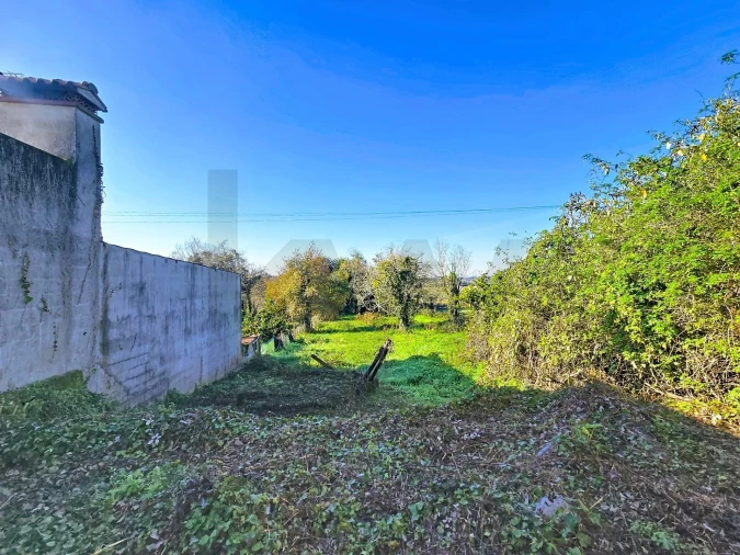 Moradia T4 para Venda em São João de Loure e Frossos Foto 18