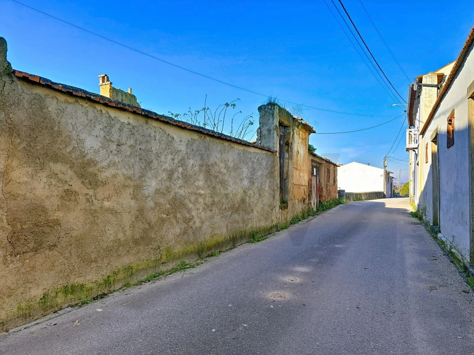 Moradia T4 para Venda em São João de Loure e Frossos Foto 1