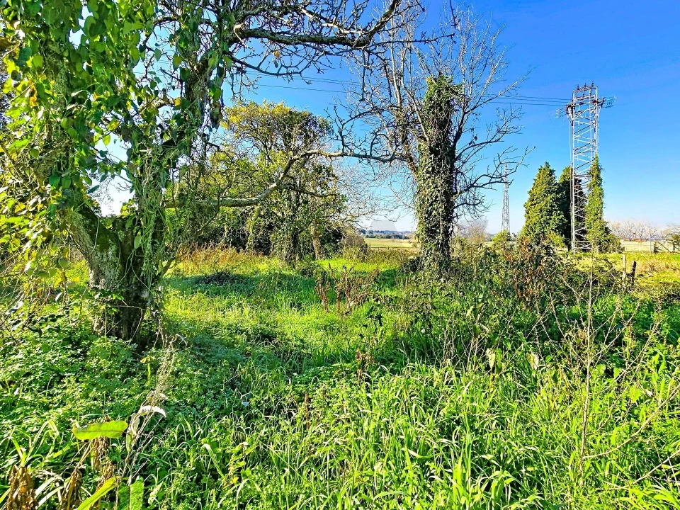 Moradia T4 para Venda em São João de Loure e Frossos Foto 26