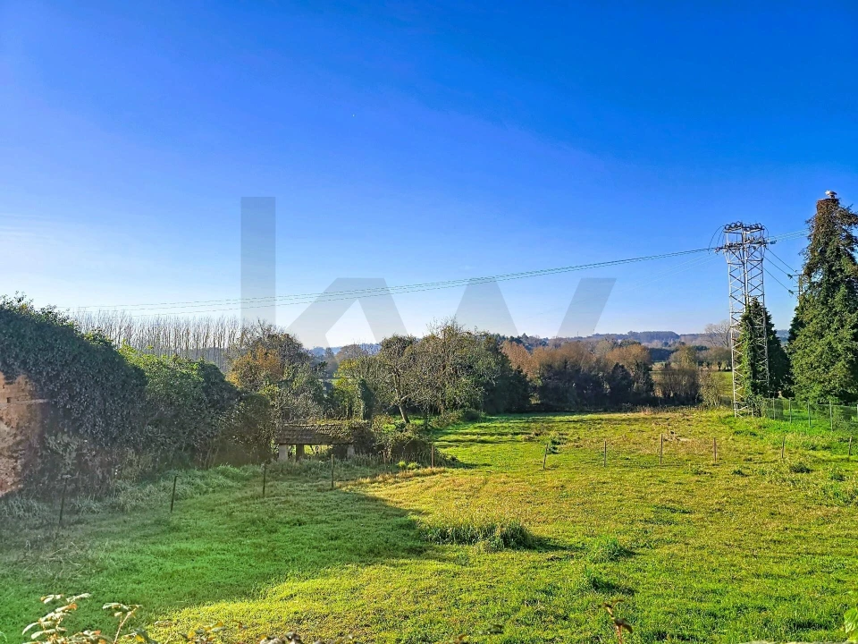 Moradia T4 para Venda em São João de Loure e Frossos Foto 3