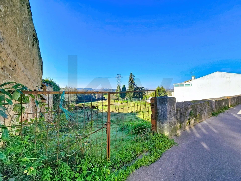 Moradia T4 para Venda em São João de Loure e Frossos Foto 4