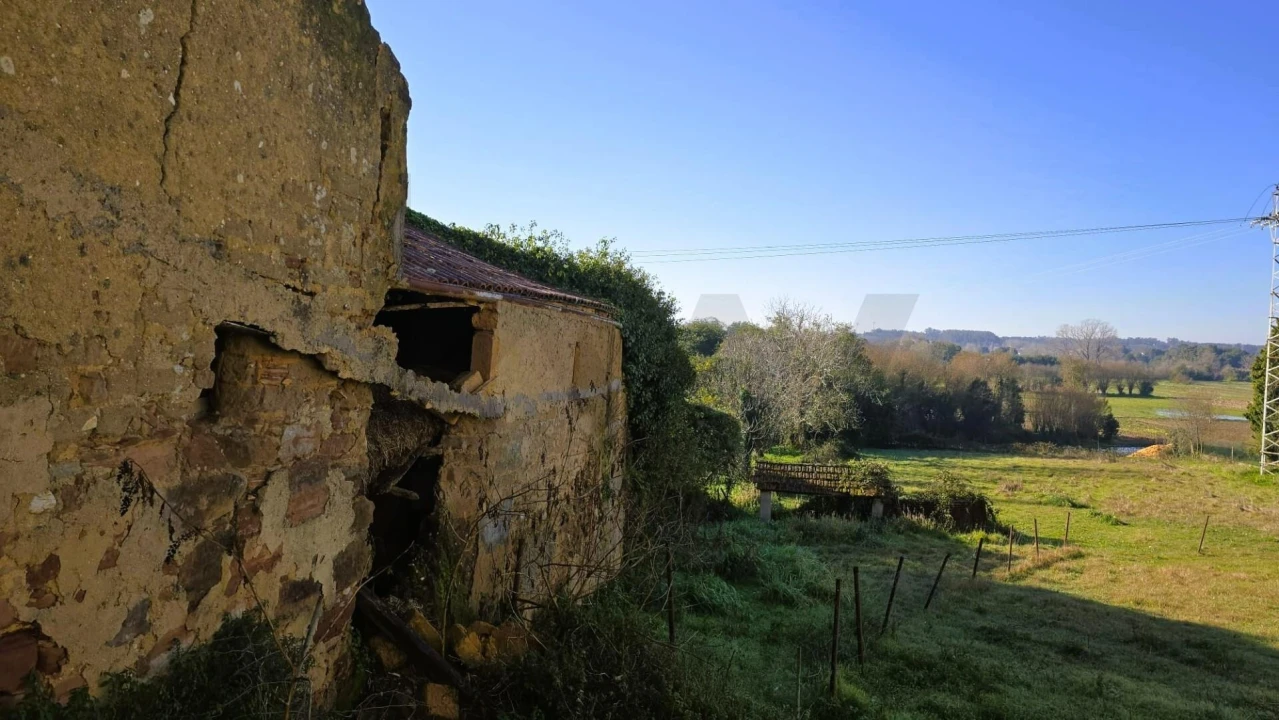 Moradia T4 para Venda em São João de Loure e Frossos Foto 20