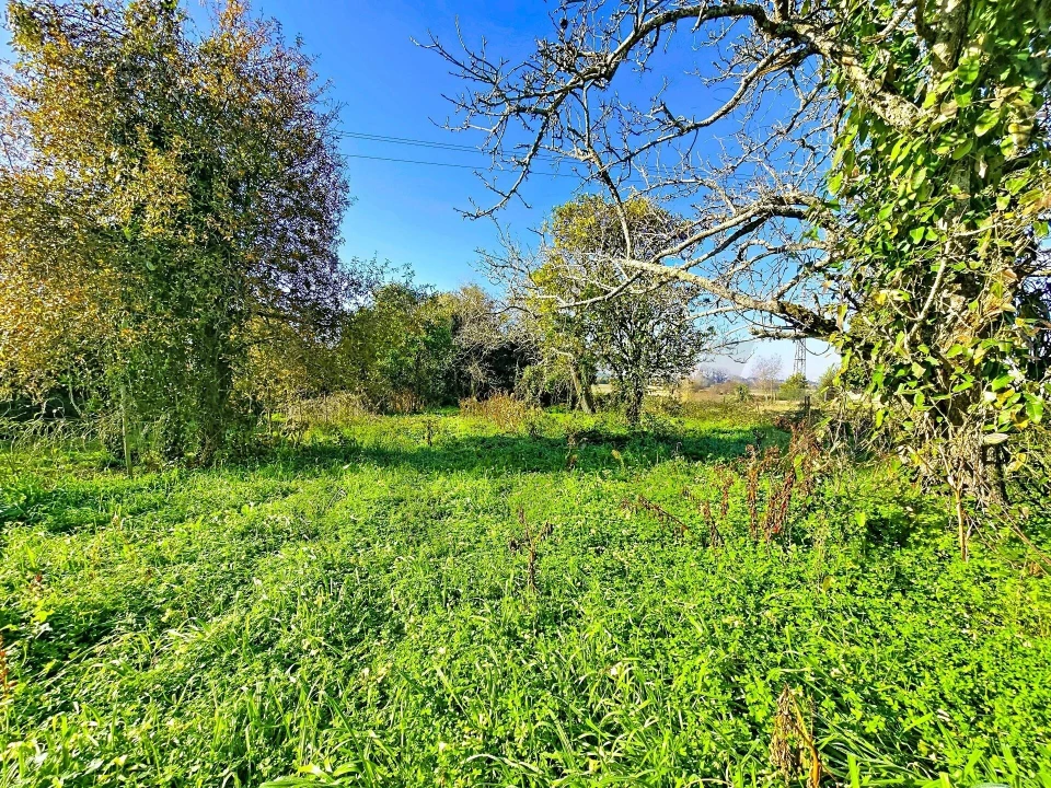Moradia T4 para Venda em São João de Loure e Frossos Foto 27