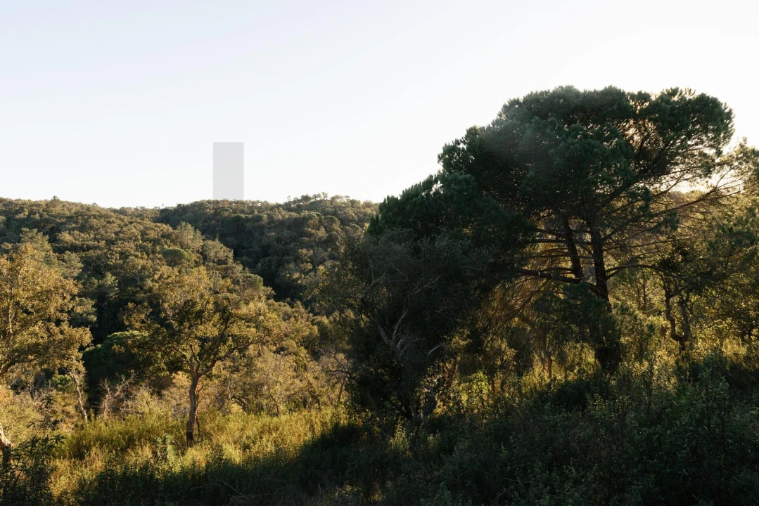 Terreno para Venda em São Francisco da Serra Foto 6