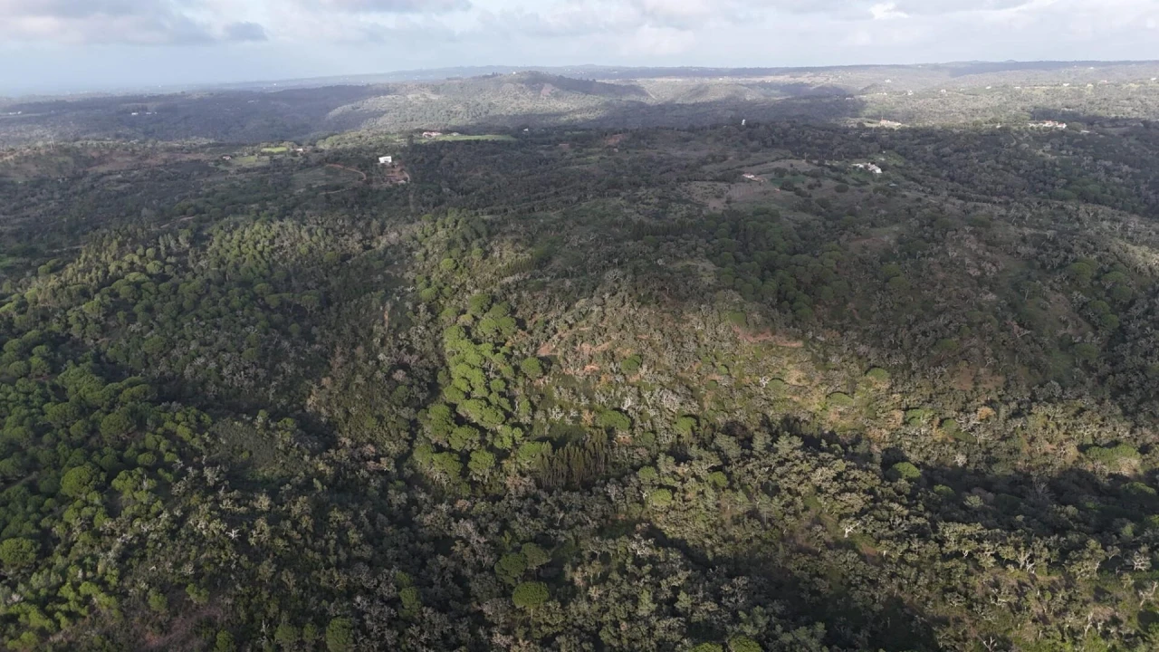 Terreno para Venda em São Francisco da Serra Foto 3
