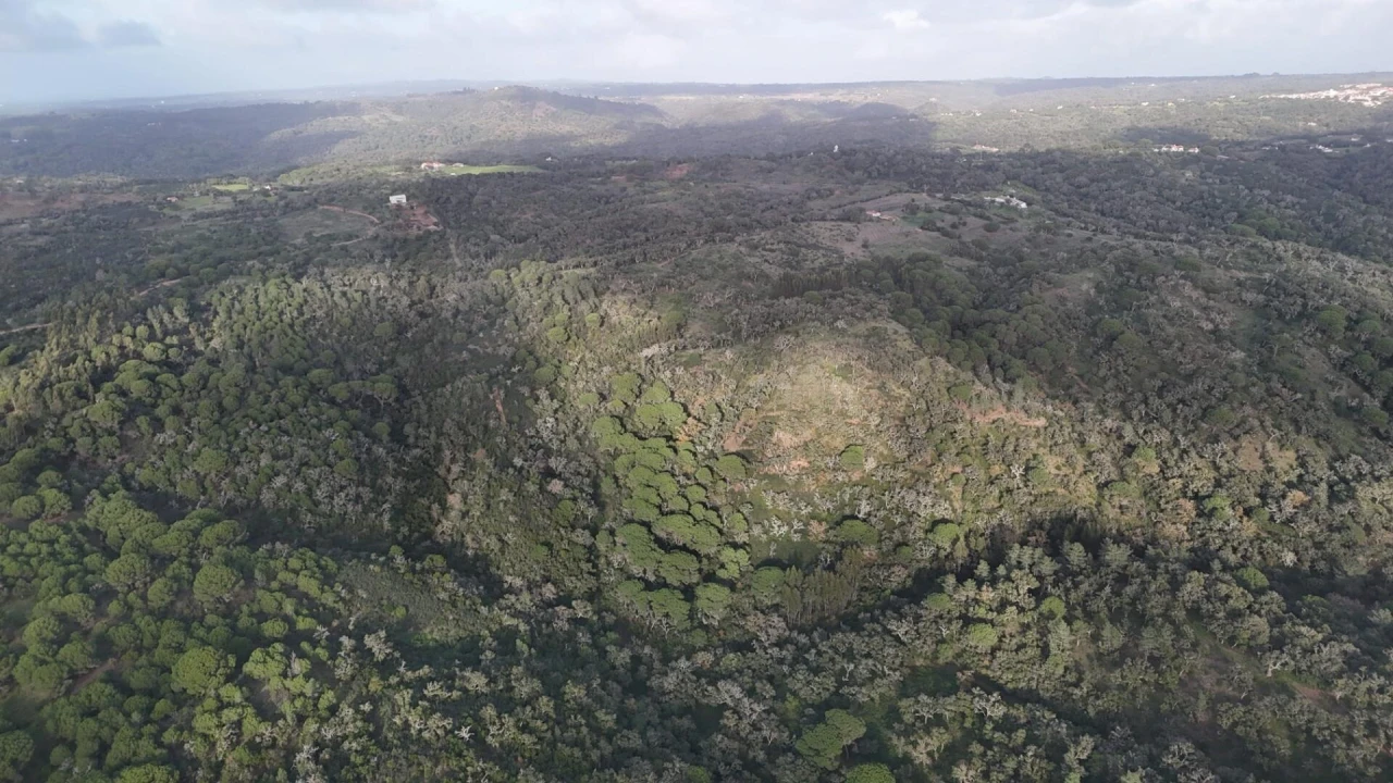 Terreno para Venda em São Francisco da Serra Foto 4