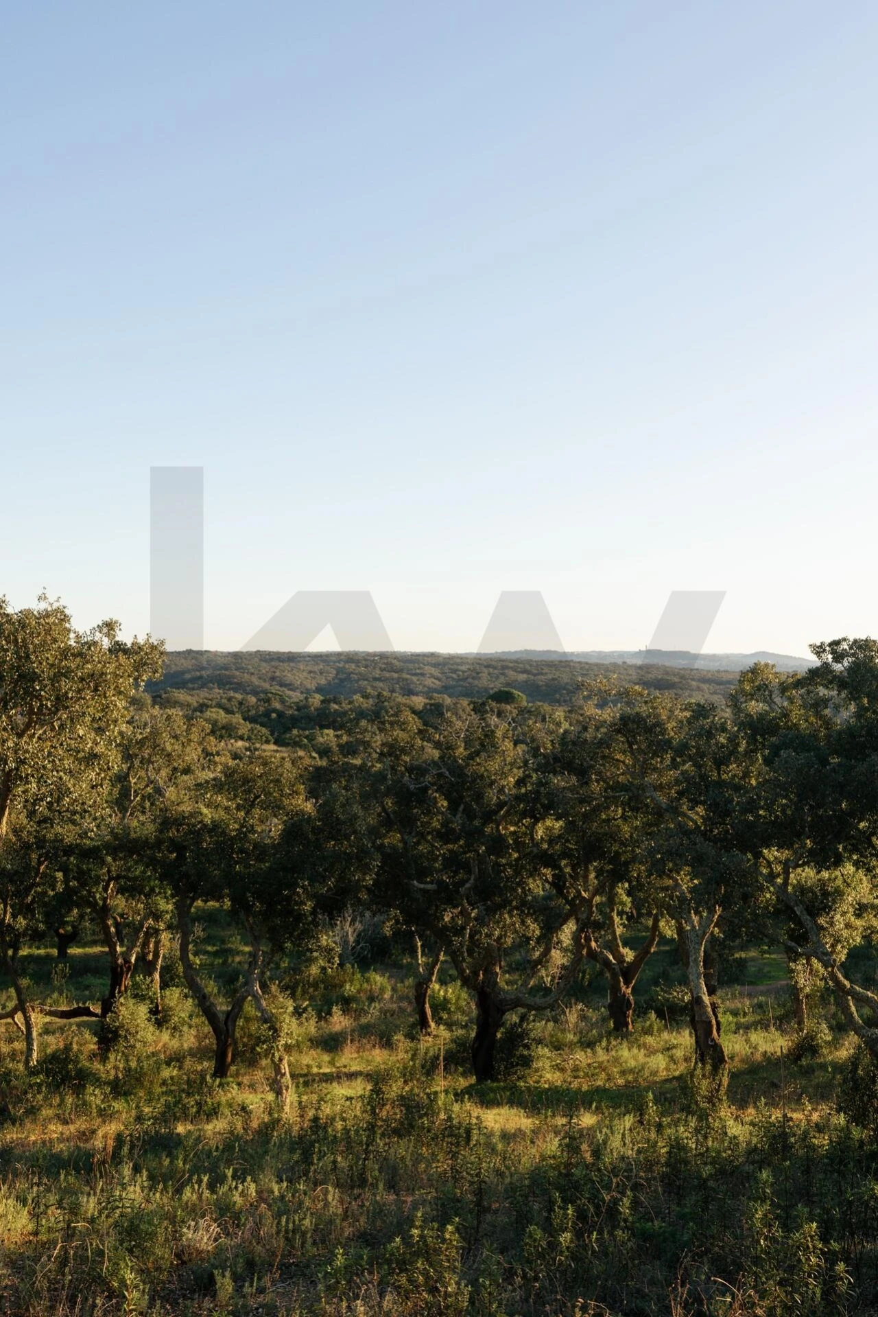 Terreno para Venda em São Francisco da Serra Foto 15
