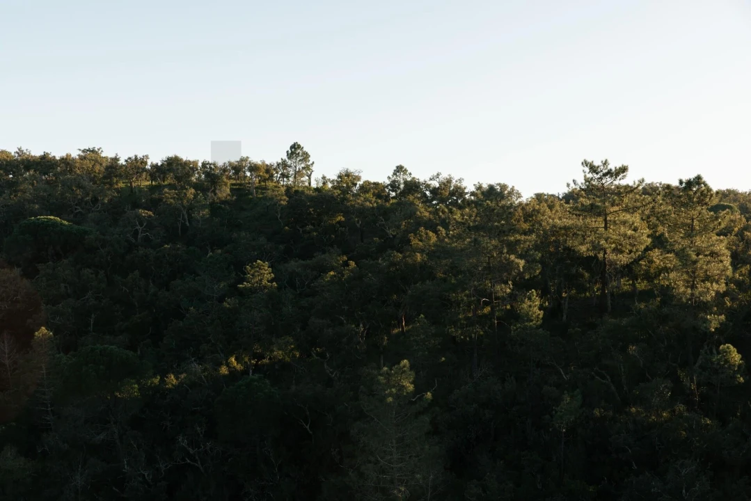 Terreno para Venda em São Francisco da Serra Foto 9