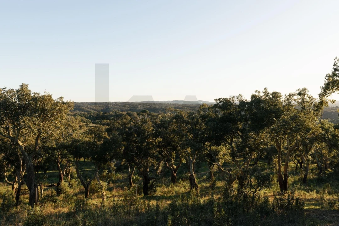 Terreno para Venda em São Francisco da Serra Foto 26