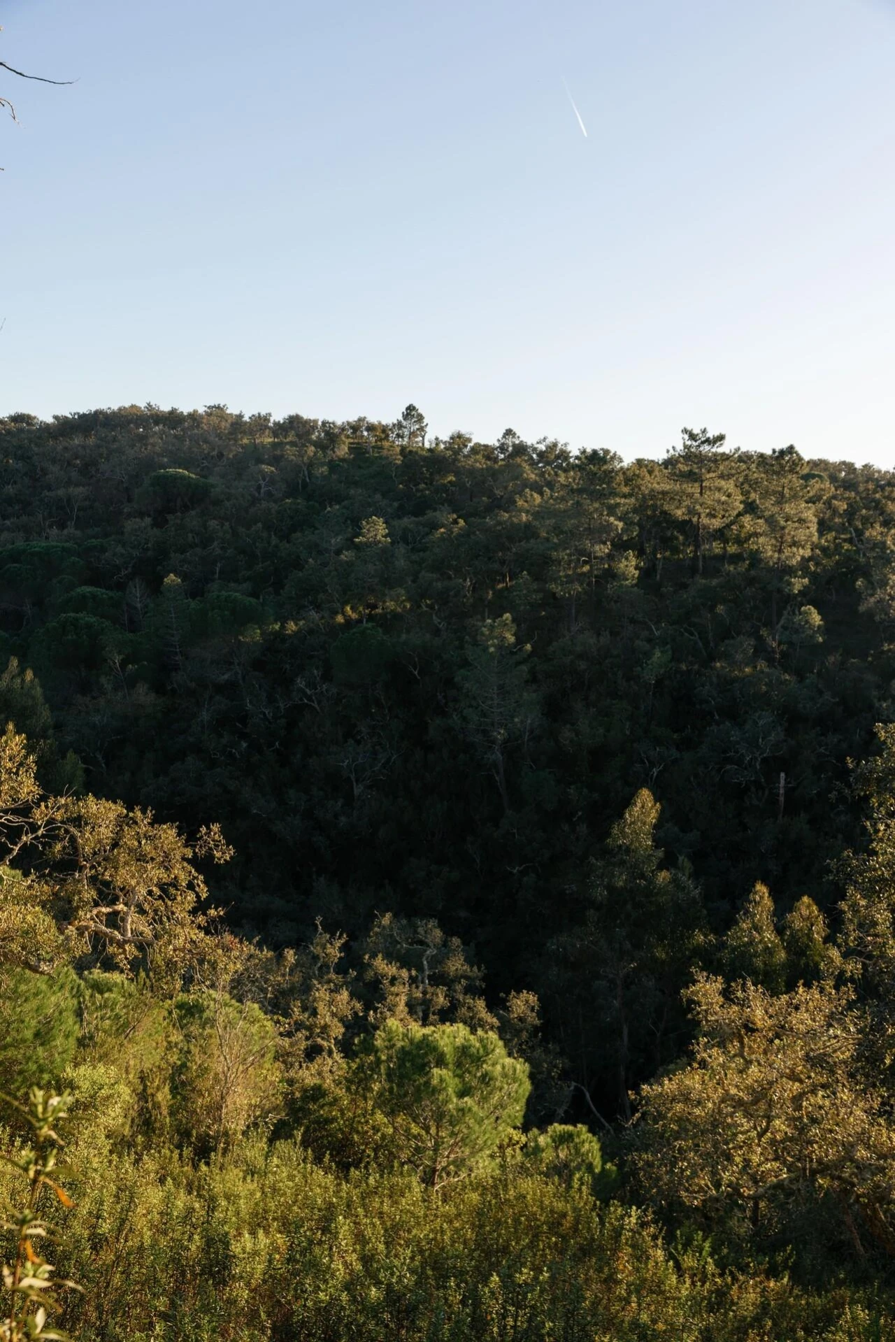 Terreno para Venda em São Francisco da Serra Foto 8