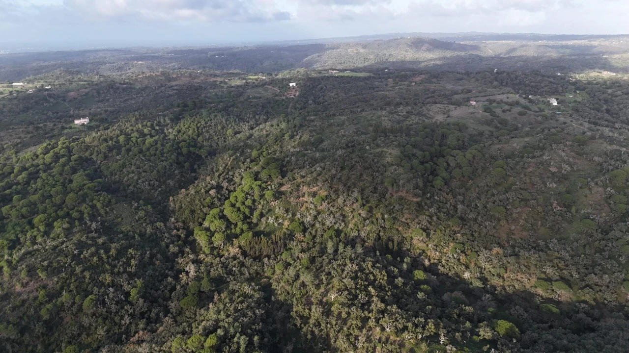 Terreno para Venda em São Francisco da Serra Foto 2