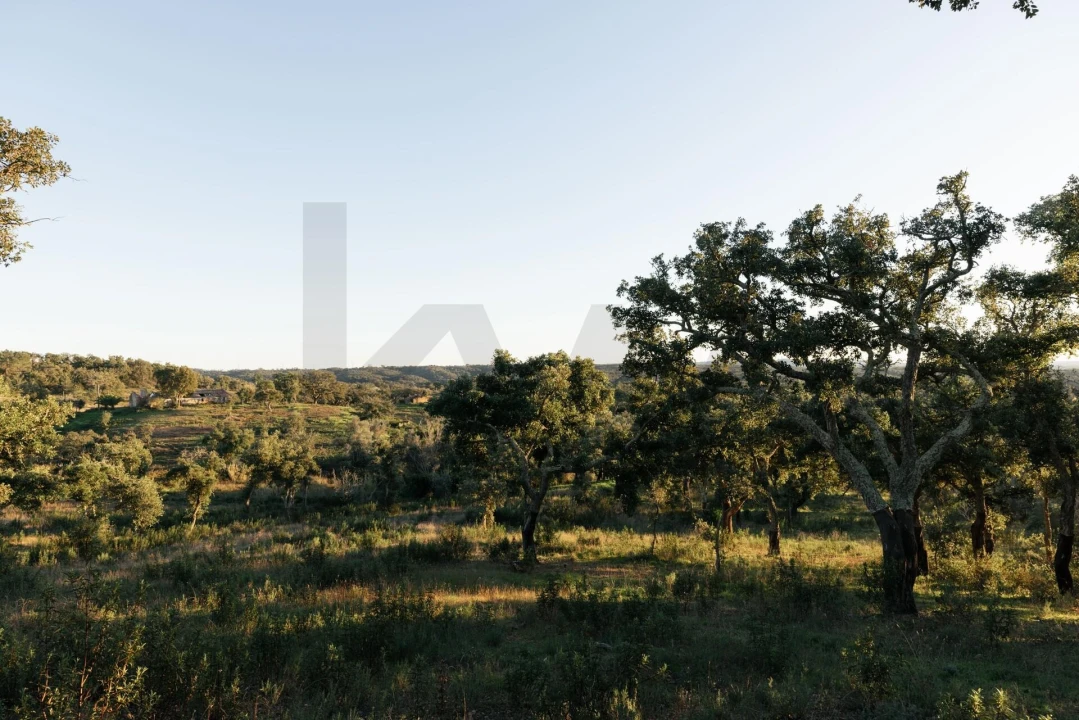 Terreno para Venda em São Francisco da Serra Foto 35
