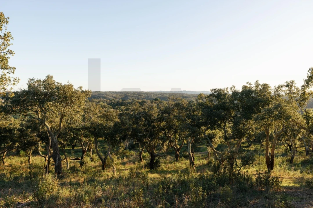 Terreno para Venda em São Francisco da Serra Foto 12