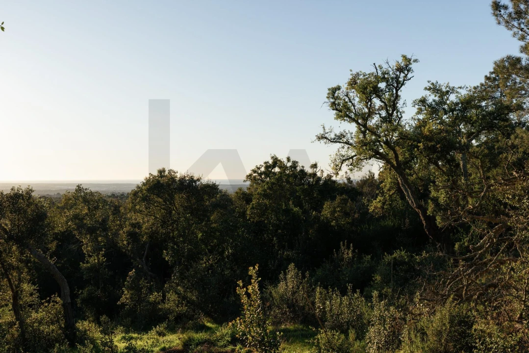 Terreno para Venda em São Francisco da Serra Foto 20