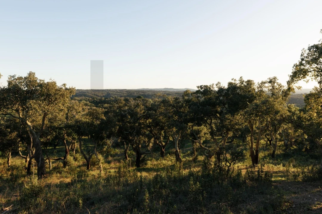 Terreno para Venda em São Francisco da Serra Foto 27