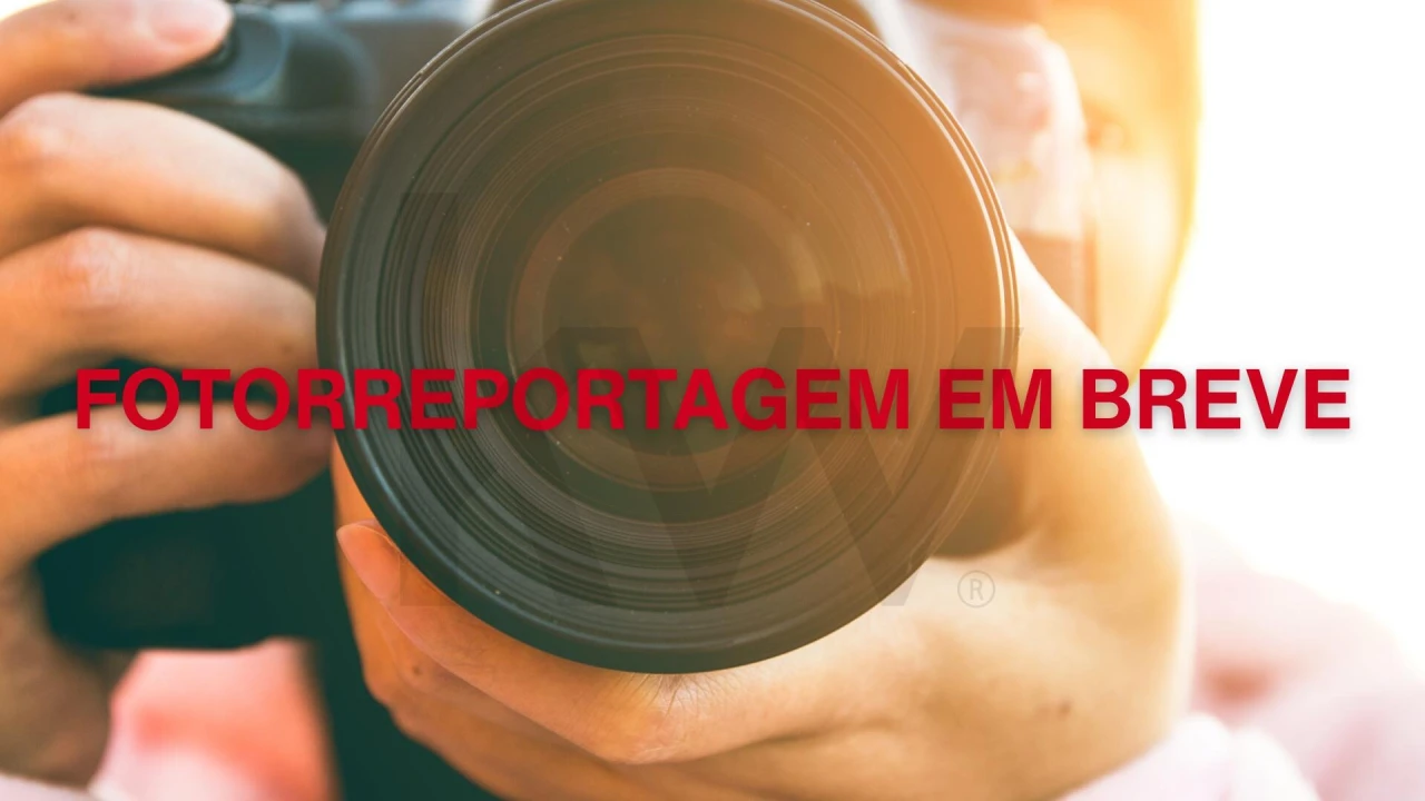 Moradia T13 para Venda em São Bento do Cortiço e Santo Estêvão Foto 16