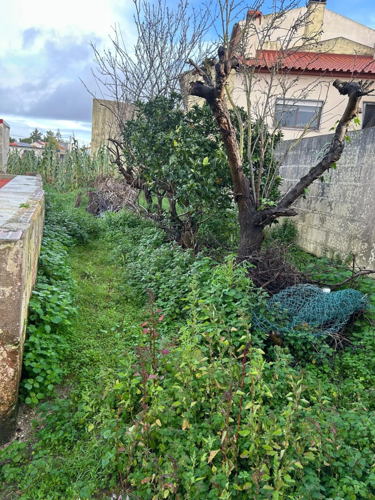 Moradia T2 para Venda em Vermelha Foto 16