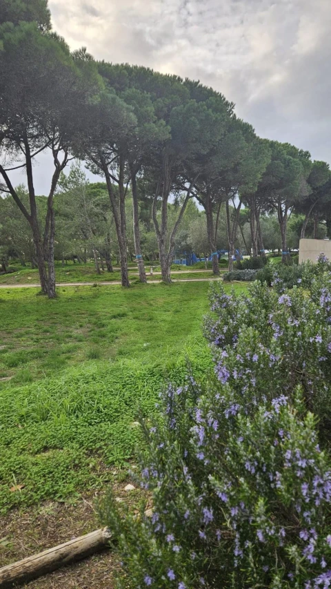 Moradia T3 para Venda em Cascais e Estoril