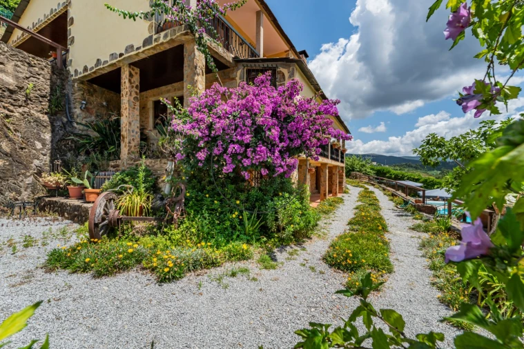 Quinta T4 para Venda em Fermedo Foto 24