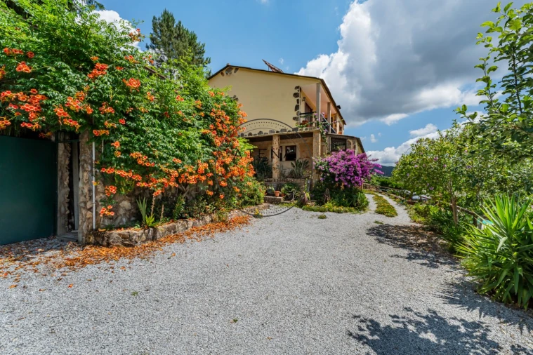 Quinta T4 para Venda em Fermedo Foto 6