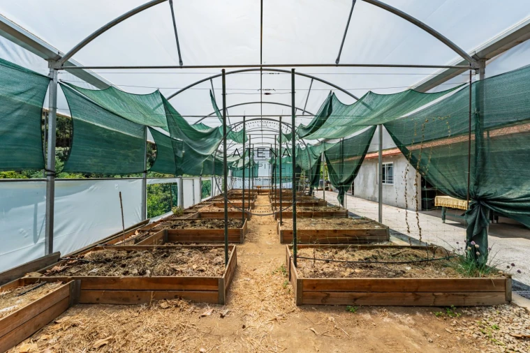 Quinta T4 para Venda em Fermedo Foto 35