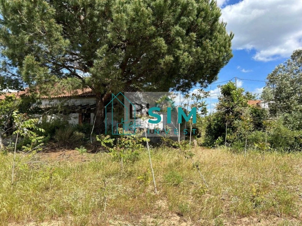 Terreno para Venda em Sesimbra (Castelo) Foto 24