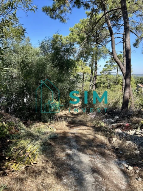 Terreno para Venda em Sesimbra (Castelo)