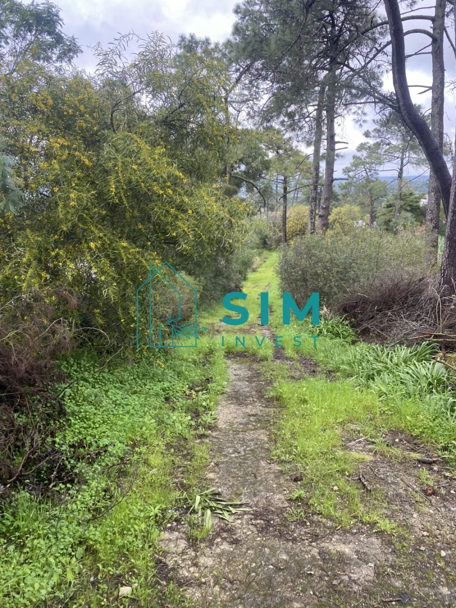 Terreno para Venda em Sesimbra (Castelo) Foto 12