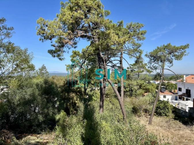 Terreno para Venda em Sesimbra (Castelo) Foto 6