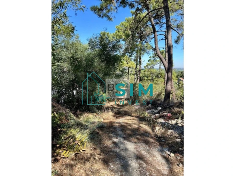 Terreno para Venda em Sesimbra (Castelo) Foto 8