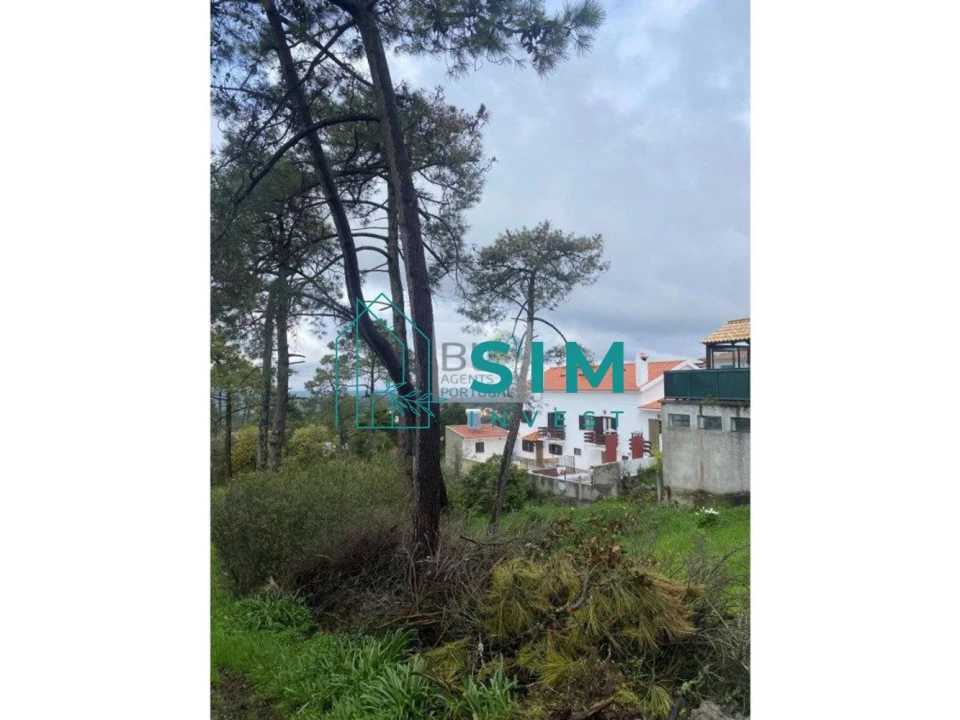 Terreno para Venda em Sesimbra (Castelo) Foto 21