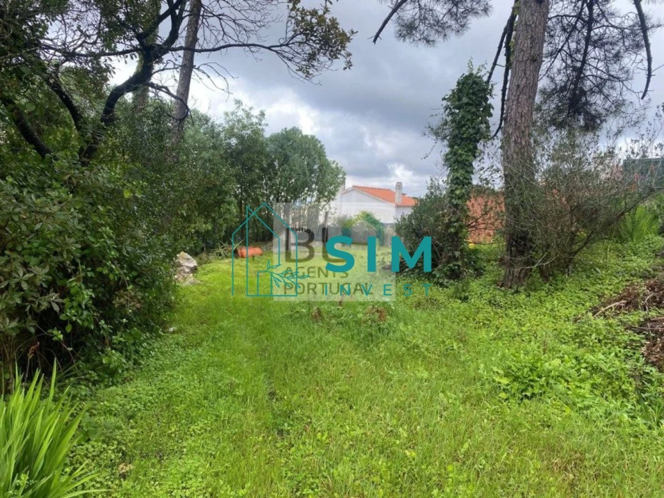 Terreno para Venda em Sesimbra (Castelo) Foto 14