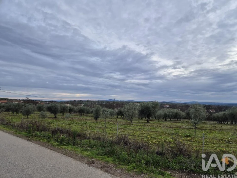 Moradia T6 para Venda em Izeda, Calvelhe e Paradinha Nova Foto 17