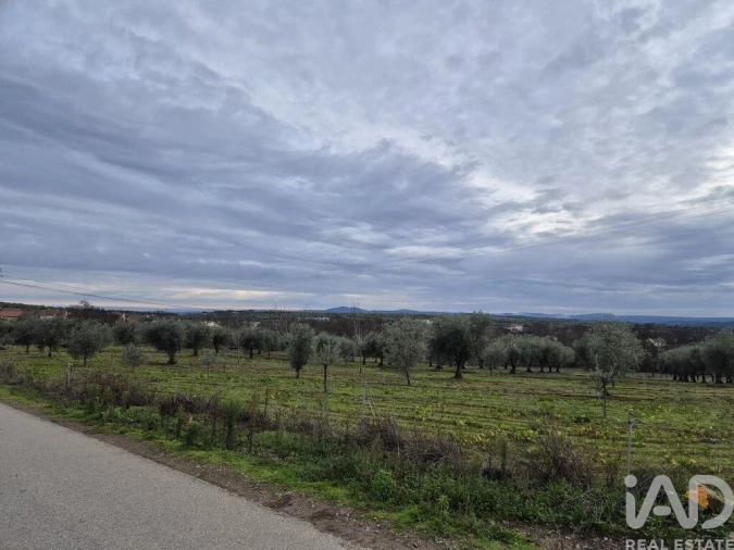 Moradia T6 para Venda em Izeda, Calvelhe e Paradinha Nova Foto 17