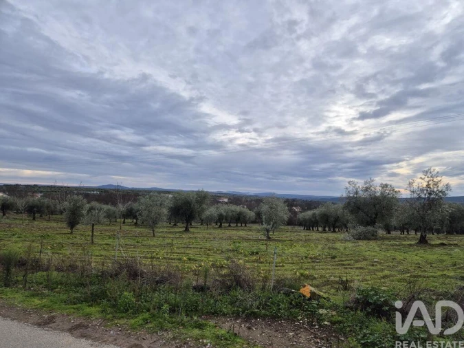 Moradia T6 para Venda em Izeda, Calvelhe e Paradinha Nova Foto 18