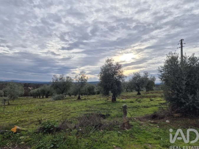 Moradia T6 para Venda em Izeda, Calvelhe e Paradinha Nova Foto 3
