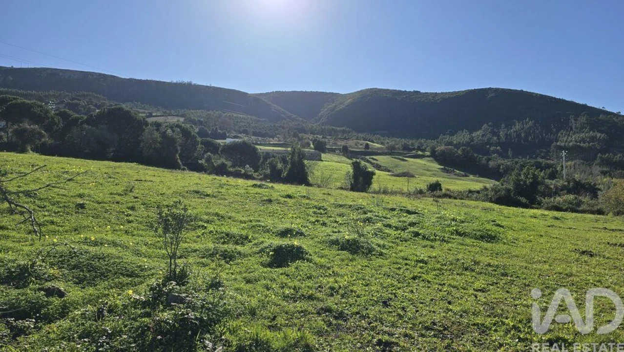 Terreno para Venda em Lamas e Cercal Foto 1