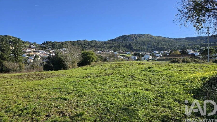 Terreno para Venda em Lamas e Cercal Foto 6