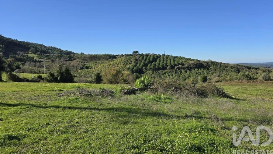 Terreno para Venda em Lamas e Cercal Foto 10