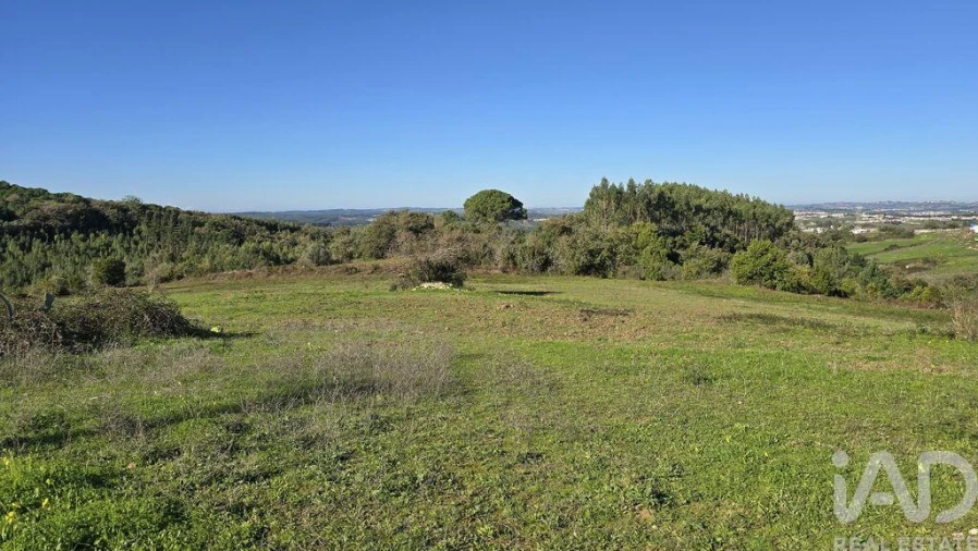 Terreno para Venda em Lamas e Cercal Foto 7