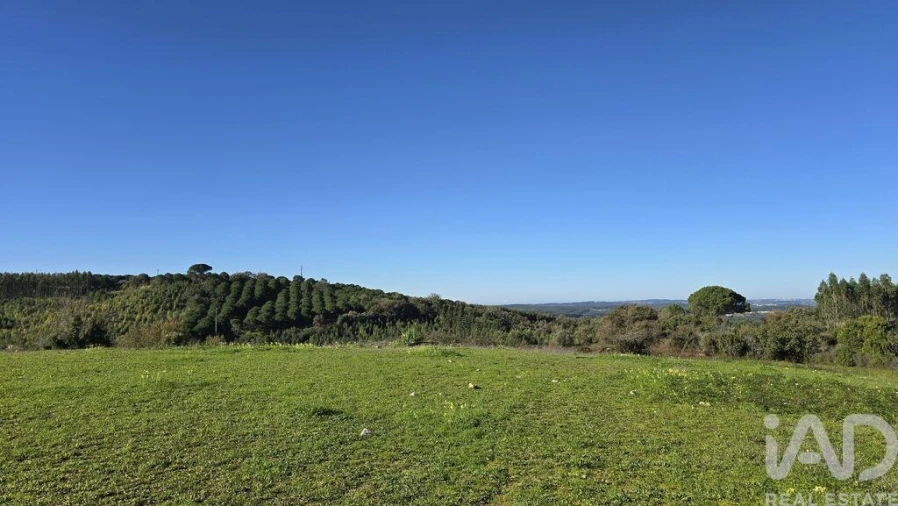 Terreno para Venda em Lamas e Cercal Foto 8