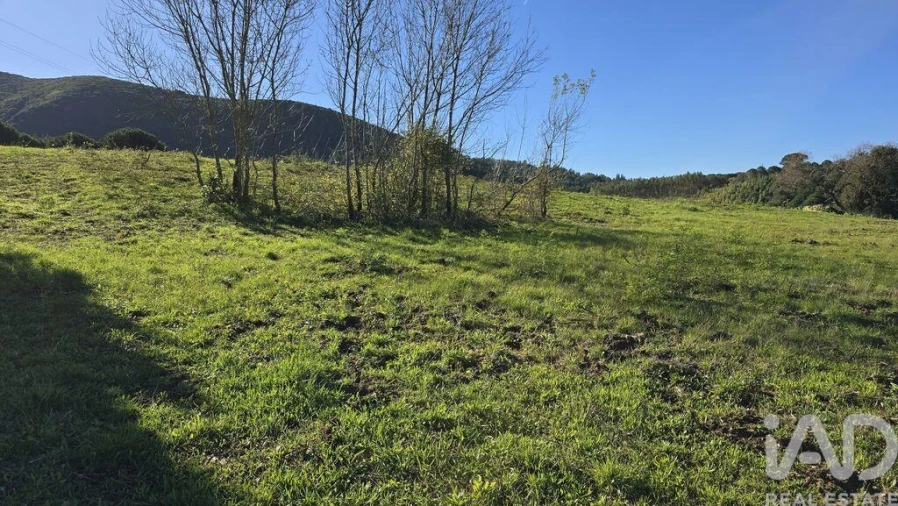 Terreno para Venda em Lamas e Cercal Foto 9