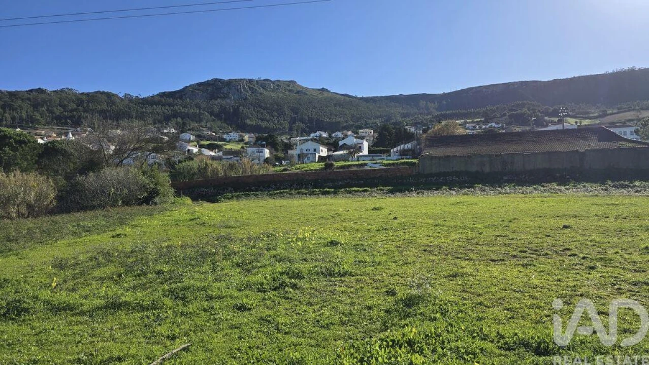Terreno para Venda em Lamas e Cercal Foto 5