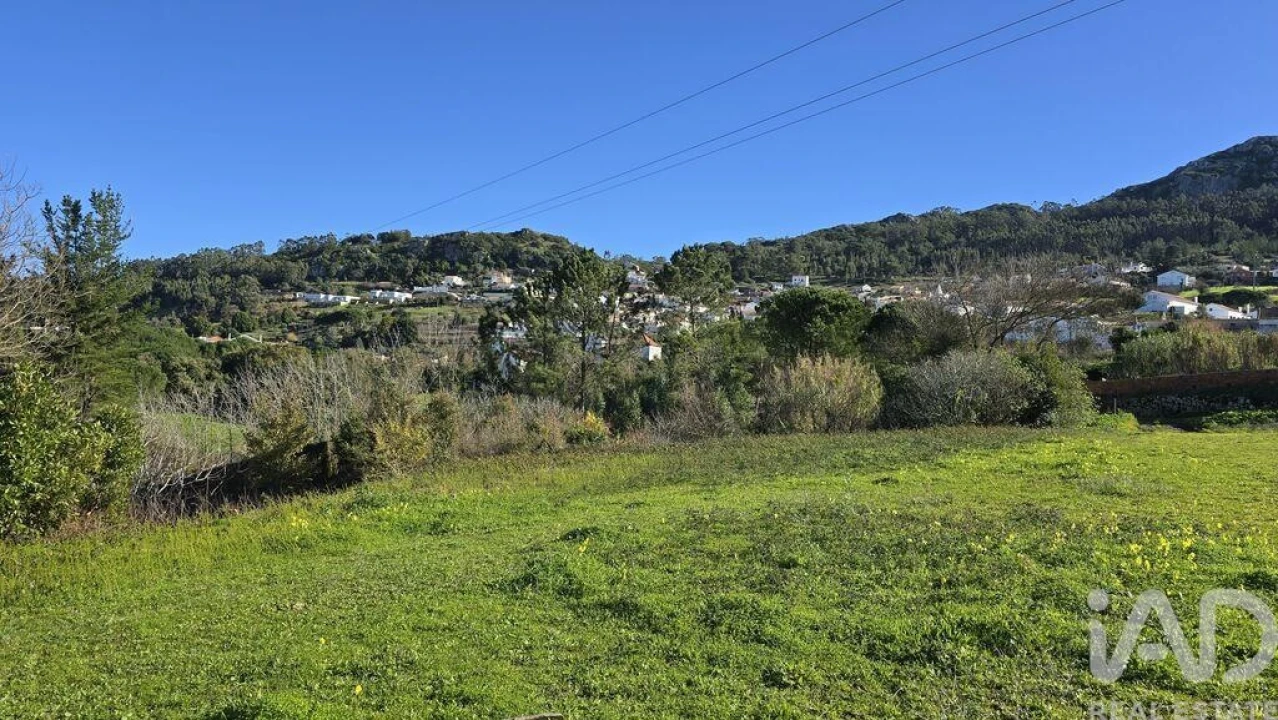 Terreno para Venda em Lamas e Cercal Foto 4