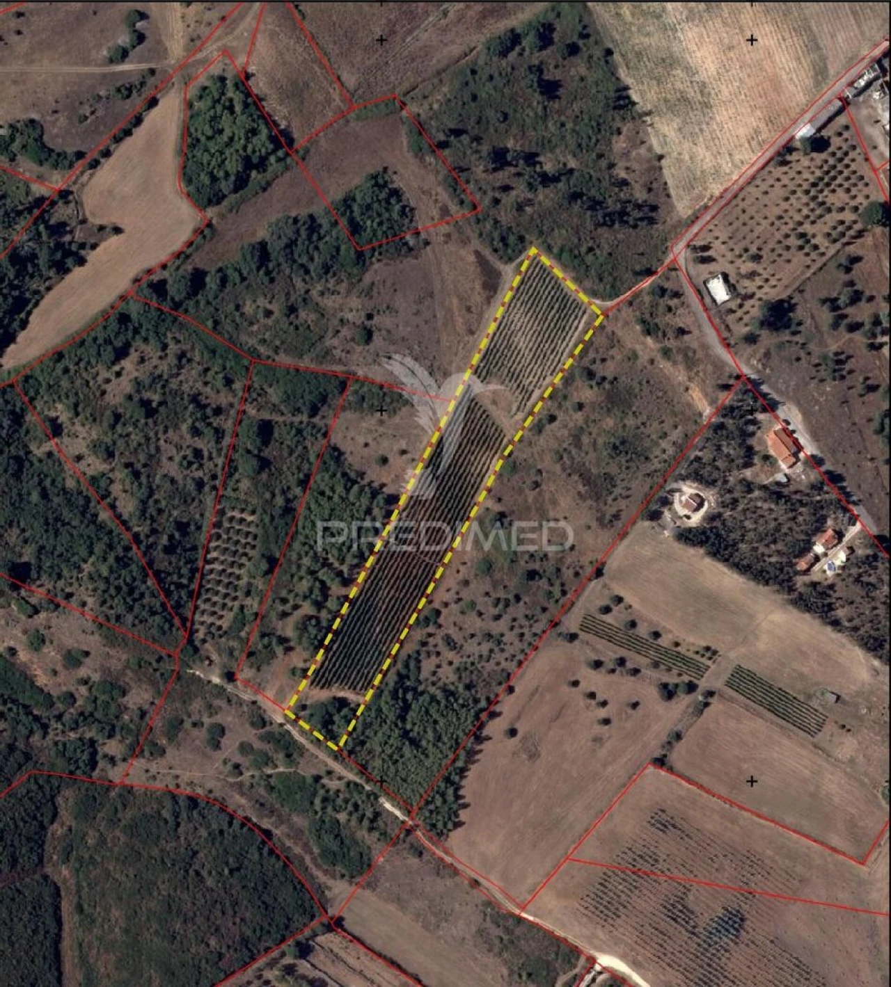 Terreno para Venda em Abrigada e Cabanas de Torres Foto 1