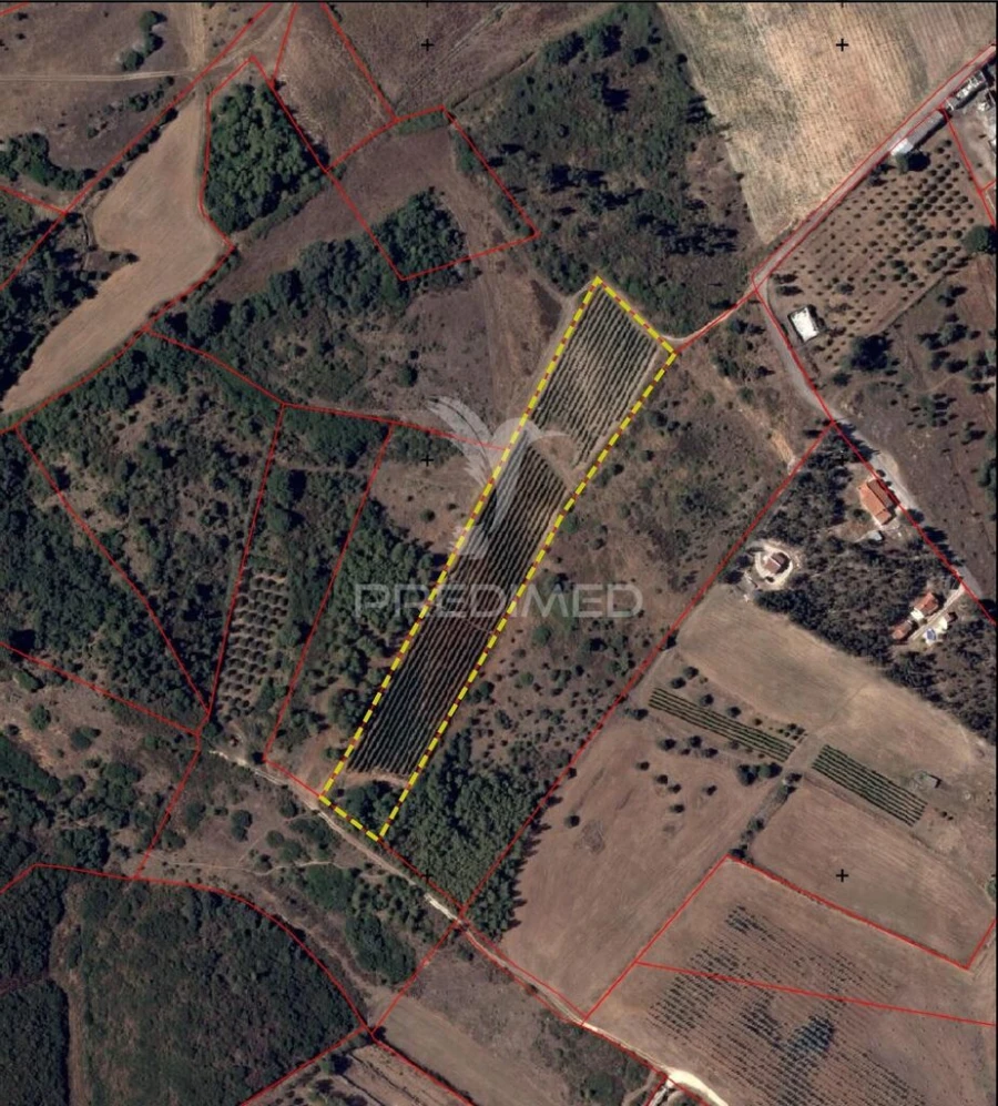 Terreno para Venda em Abrigada e Cabanas de Torres